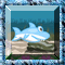 A Little Shark (AS3)