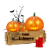 &nbsp;